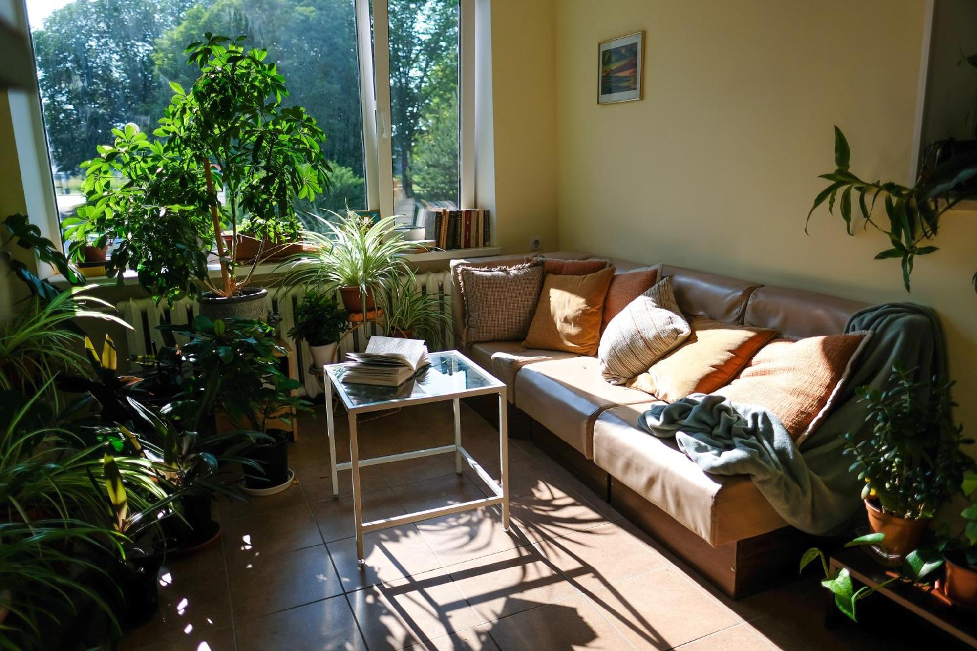 Hostel Nele Jõhvi Zewnętrze zdjęcie